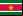 Bandeira do Suriname