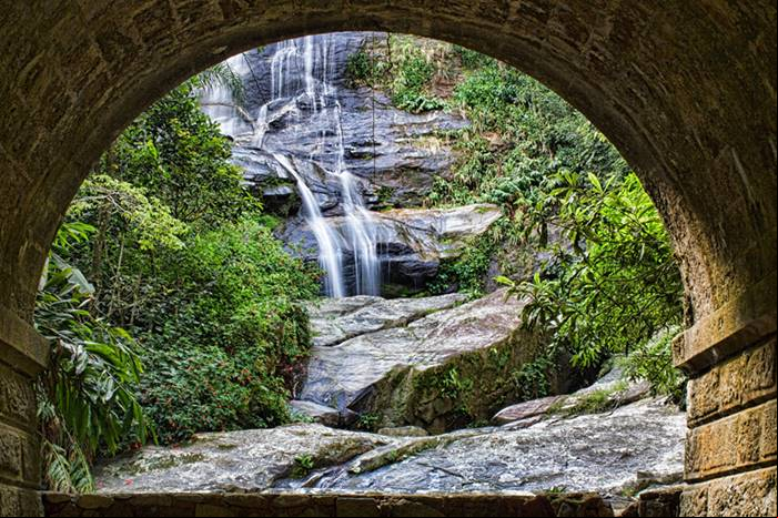 Floresta da Tijuca - Rio de Janeiro - Estado do Rio de Janeiro - Regi