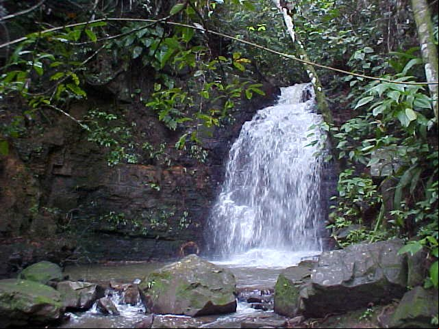 Parque Sitio do Bosco - Tiangu