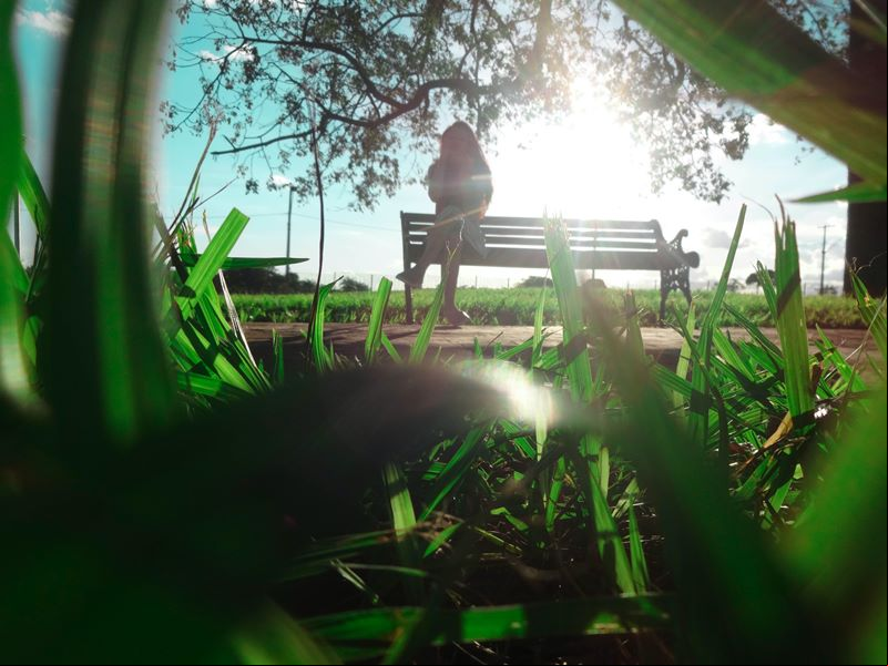 Parque das Barrigudas - Uberaba - Estado de Minas Gerais - Regi